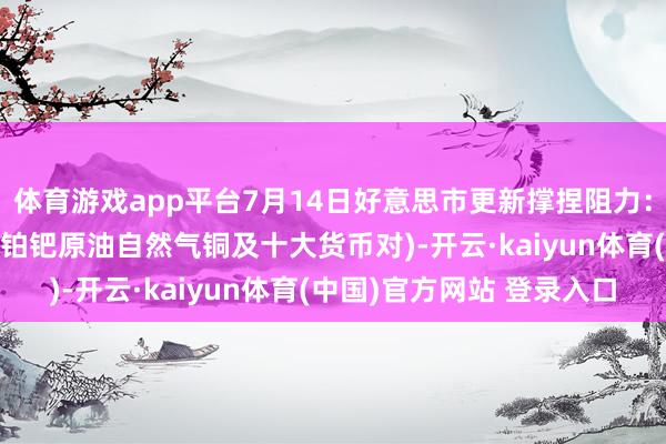 体育游戏app平台7月14日好意思市更新撑捏阻力：18品种撑捏阻力(金银铂钯原油自然气铜及十大货币对)-开云·kaiyun体育(中国)官方网站 登录入口
