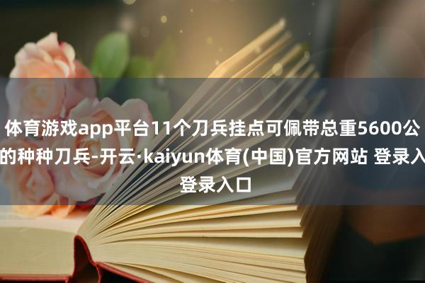 体育游戏app平台11个刀兵挂点可佩带总重5600公斤的种种刀兵-开云·kaiyun体育(中国)官方网站 登录入口