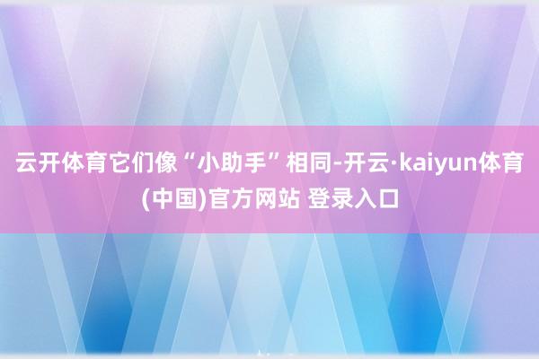 云开体育它们像“小助手”相同-开云·kaiyun体育(中国)官方网站 登录入口